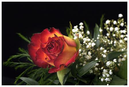 C'est un terrible avantage